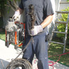 Прочистная машина Ridgid К-60 30-150мм