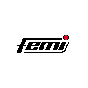 Femi Femi